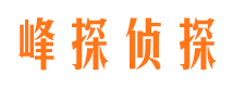 叶县市调查公司